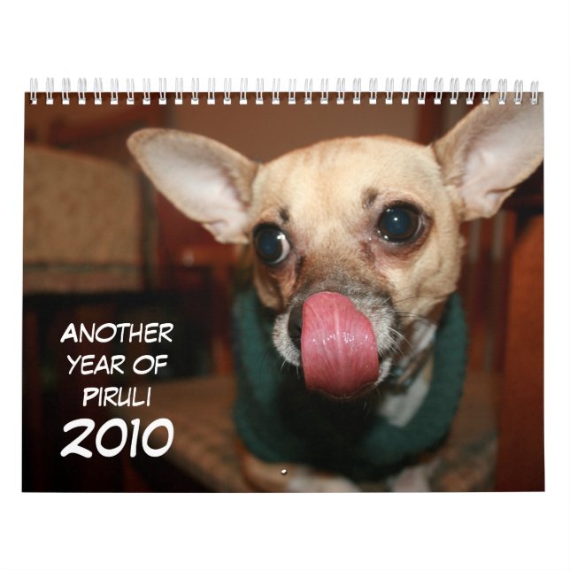 Another Year of Piruli - 2010 Calendar (Cover)