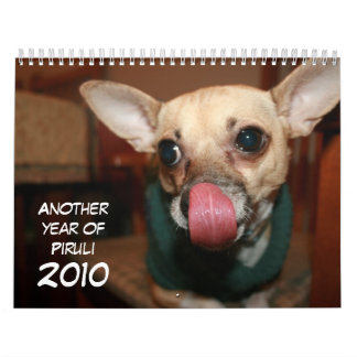 Another Year of Piruli - 2010 Calendar
