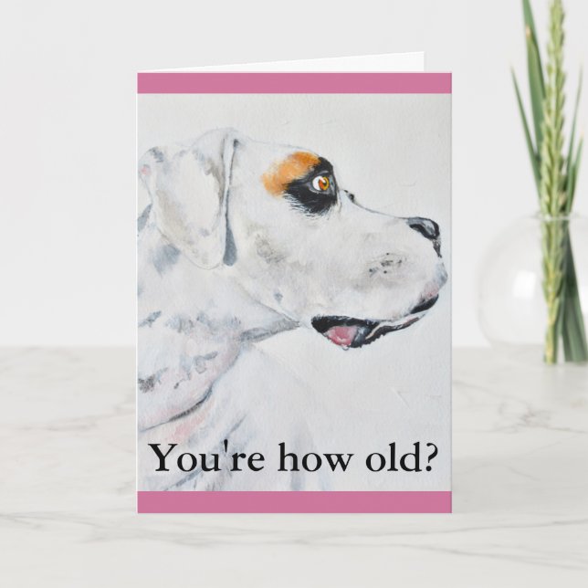 Another year older birthday card, Boxer Dog Card (Front)