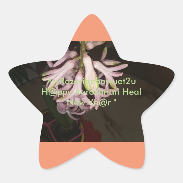 An'Rozarianbowuet2u Aurozarian Heal H@ppy New Ye@r Star Sticker (Front)