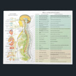 ANS Subluxation Effects Tear Off Pads<br><div class="desc">The handout list the effects of spinal subluxation on body areas and possible symptoms associated. Listed by spinal level. The autonomic nervous system in relation to the spine and the internal organs. The nerves are color coded representing the sympathetic,  parasympathetic and cerebralspinal system.</div>