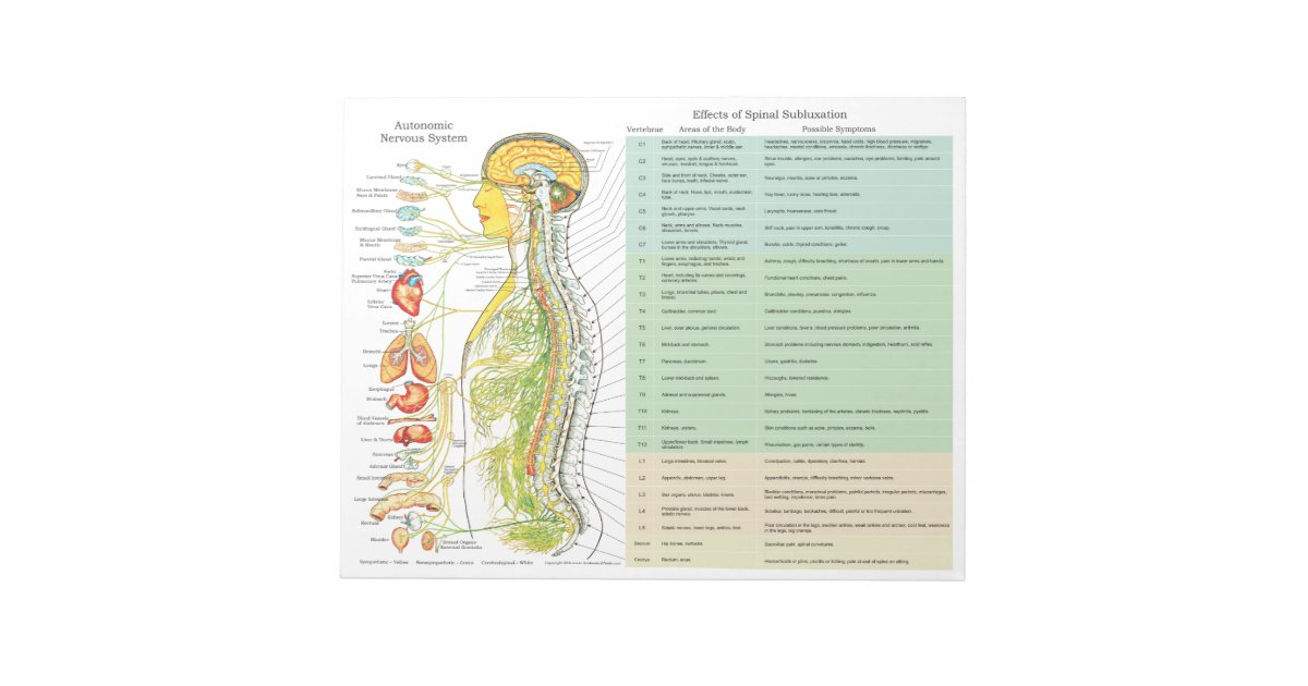 ANS Subluxation Effects Tear Off Pads | Zazzle