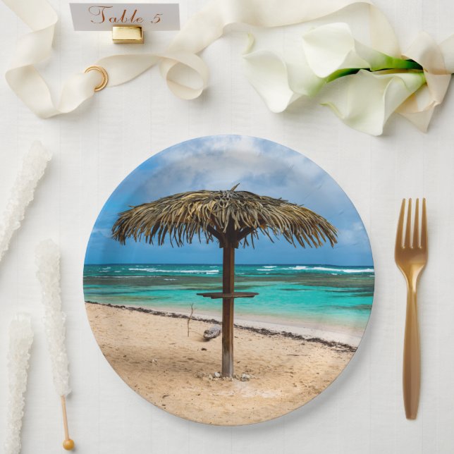 Anse des Rochers beach Paper Plates (Wedding)