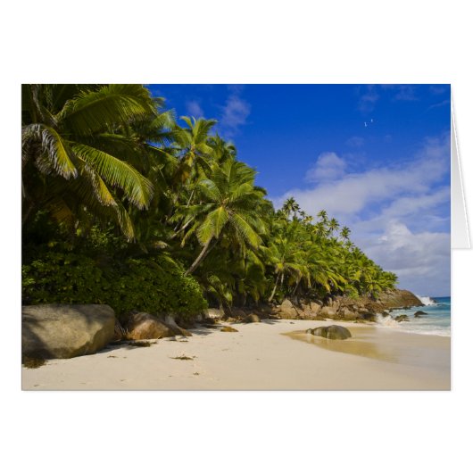 Anse Victorin Beach 3 Cards (Front Horizontal)