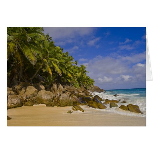 Anse Victorin Beach 4 Cards (Front Horizontal)