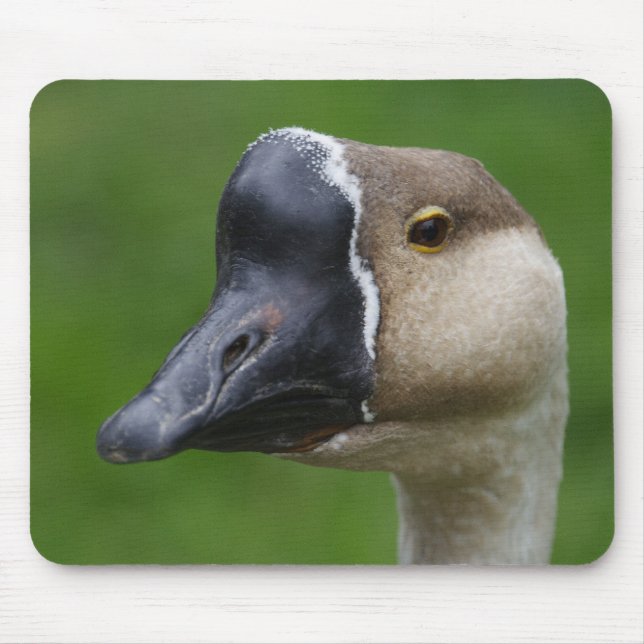 Anser cygnoides f. domestica mouse pad (Front)