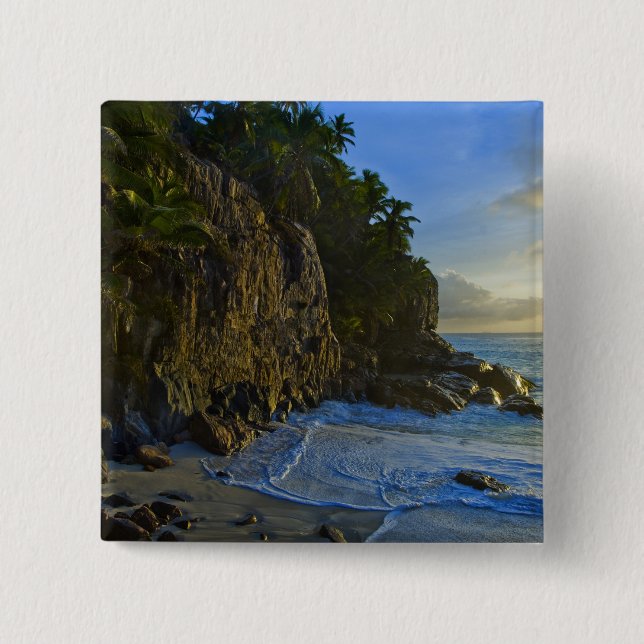 Ansi Victorin Beach 2 Pinback Button (Front)