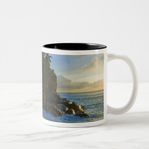 Ansi Victorin Beach 2 Two_Tone Coffee Mug