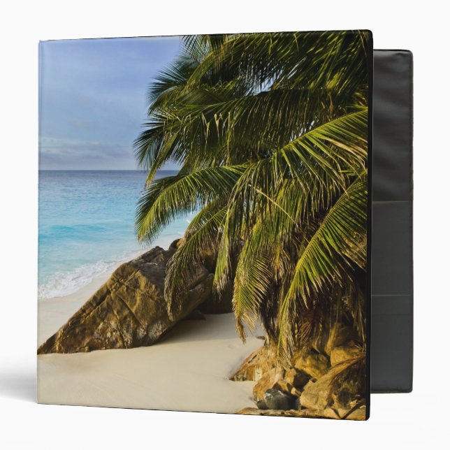 Ansi Victorin Beach Binder (Front/Inside)