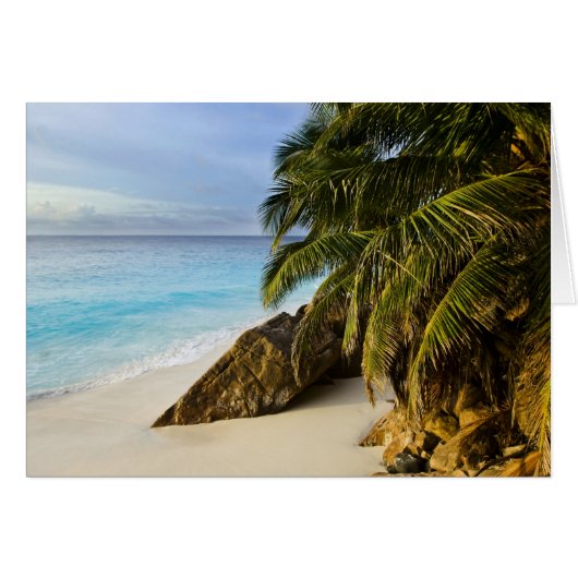 Ansi Victorin Beach Cards (Front Horizontal)