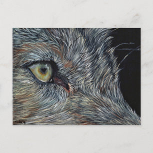 Ansichtkaart Wolf Postcard