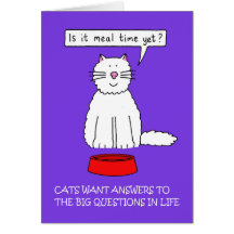 Answer Your Cat's Questions Day January