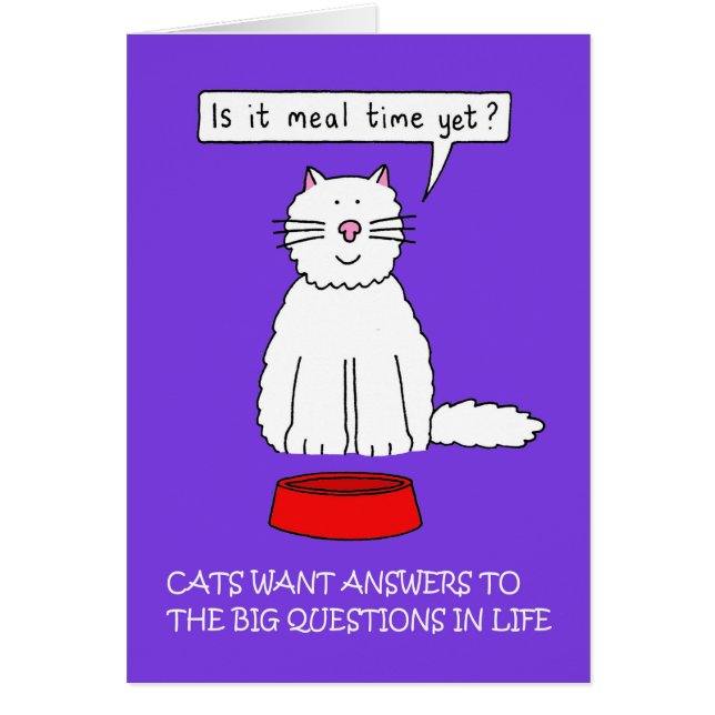 Answer Your Cat's Questions Day  January Cards (Front)