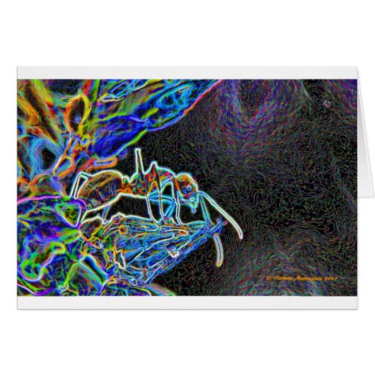 ant a1 cards (Front Horizontal)