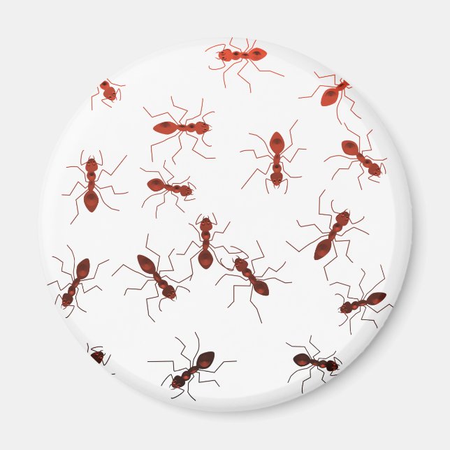 Ant antics. magnet (Front)