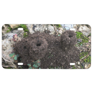 Ant Castle License Plate