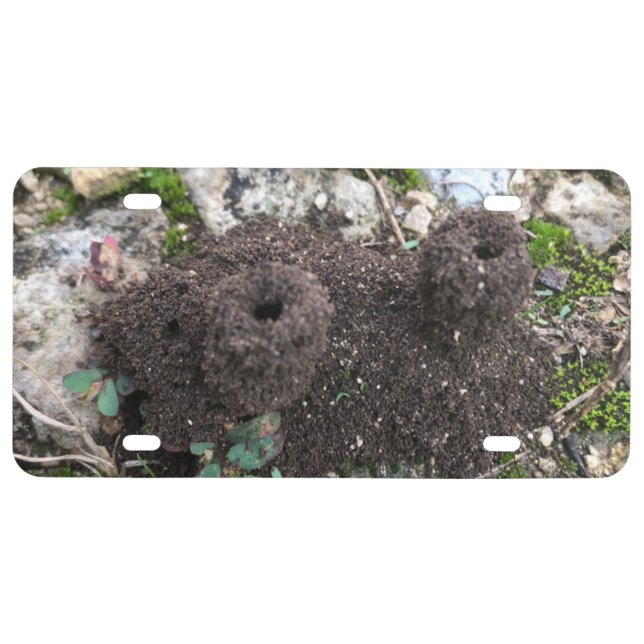 Ant Castle License Plate (Front)