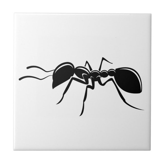 Ant drawing insect ceramic tile (Front)