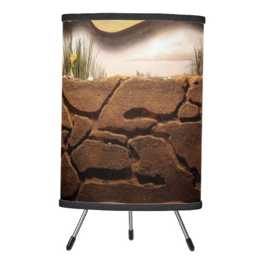 Ant farm tripod lamp (Front)