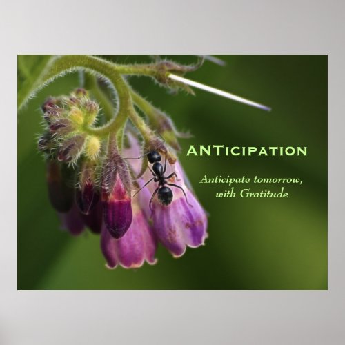 Ant  Flower Gratitude Motivational Postcards Poster