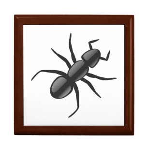 Ant Gift Box