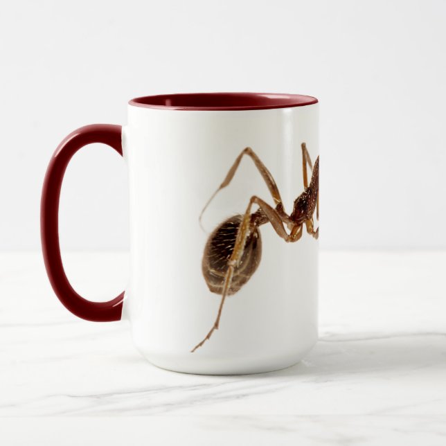 ANT MUGS (Left)