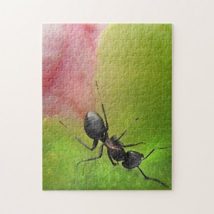 Ant on Pink Peony Flower Jigsaw Puzzle