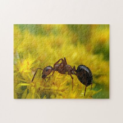Ant on Yellow Goldenrod Flowers Jigsaw Puzzle