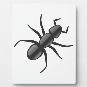 Ant Plaque