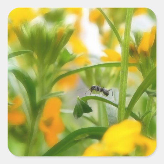 Ant Portrait With Siberian Wallflowers Square Sticker