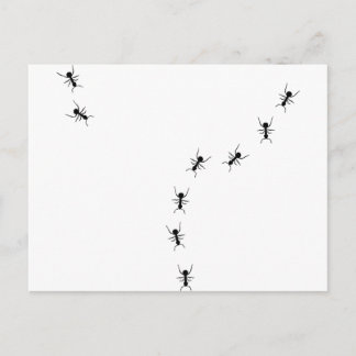 ant trail icon postcard