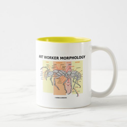 Ant Worker Morphology Two_Tone Coffee Mug