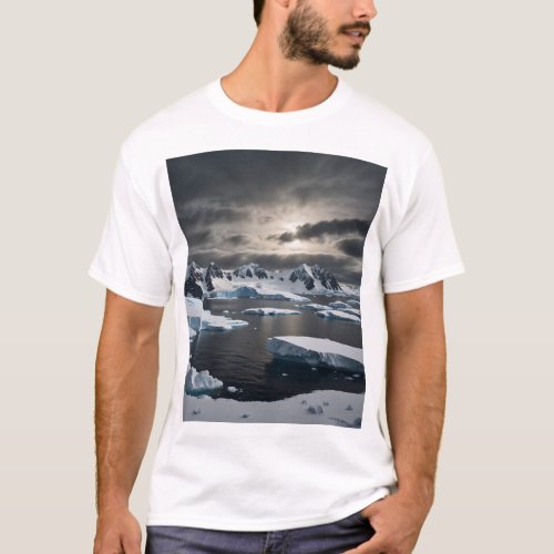 Antarctic Hope in the Face of Change T_Shirt