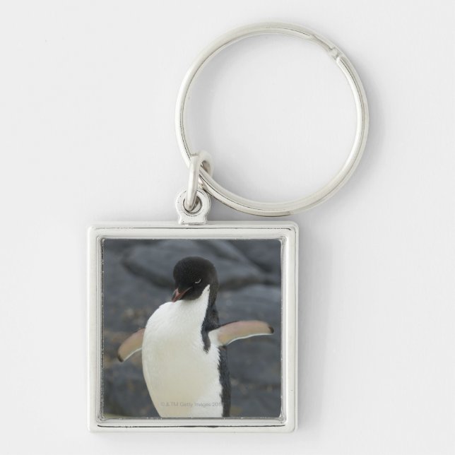 Antarctic Keychain (Front)