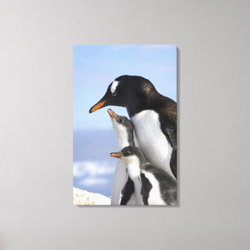 Antarctic Peninsula Neko Harbour Gentoo Canvas Print