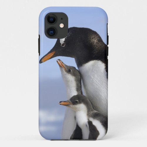 Antarctic Peninsula Neko Harbour Gentoo iPhone 11 Case
