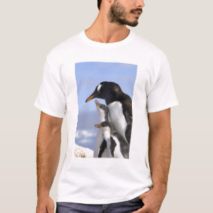 Antarctic Peninsula, Neko Harbour, Gentoo T-Shirt