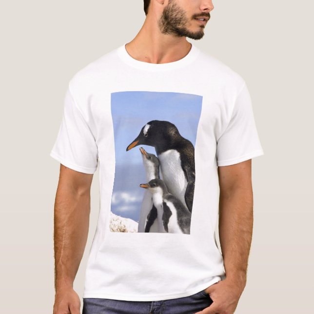Antarctic Peninsula, Neko Harbour, Gentoo T-Shirt (Front)