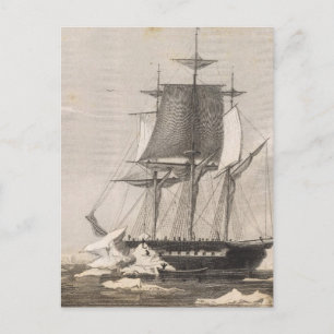 Antarctica 2 postcard