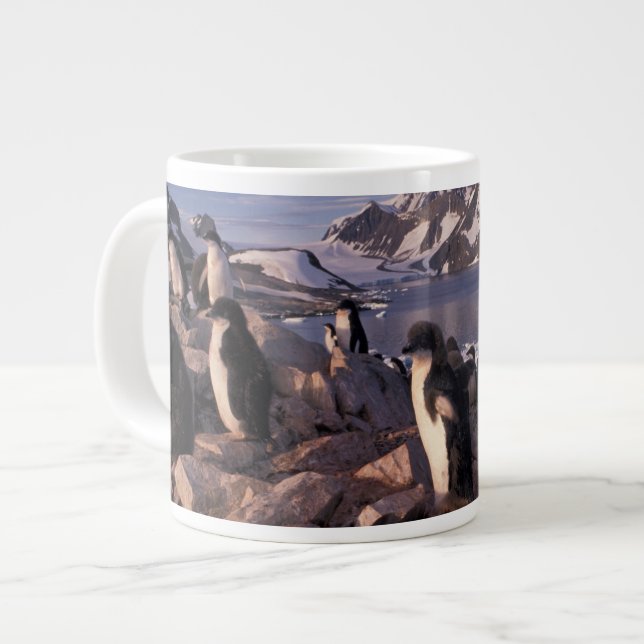 Antarctica, Adelie penguin chicks Large Coffee Mug (Front Left)