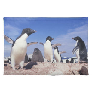 Antarctica, Adelie Penguin Pygoscelis Placemat