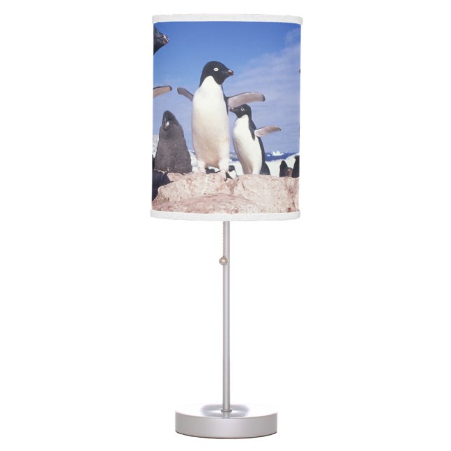 Antarctica, Adelie Penguin Pygoscelis Table Lamp (Front)