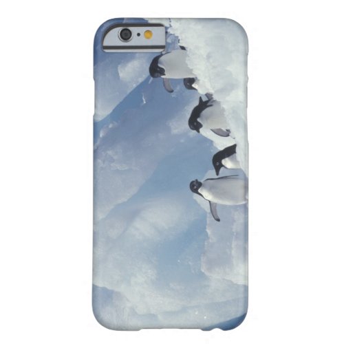 Antarctica Adelie penguins Barely There iPhone 6 Case