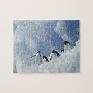 Antarctica. Adelie penguins Jigsaw Puzzle