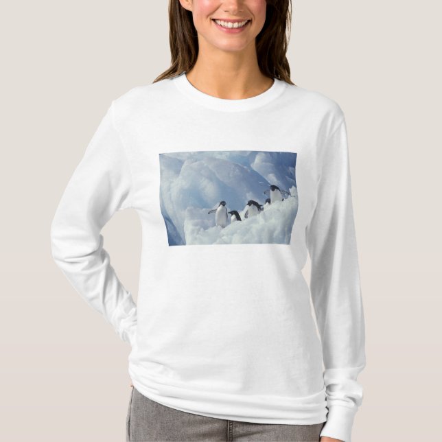 Antarctica. Adelie penguins T-Shirt (Front)