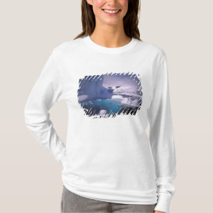 Antarctica. Antarctic icescapes 2 T-Shirt
