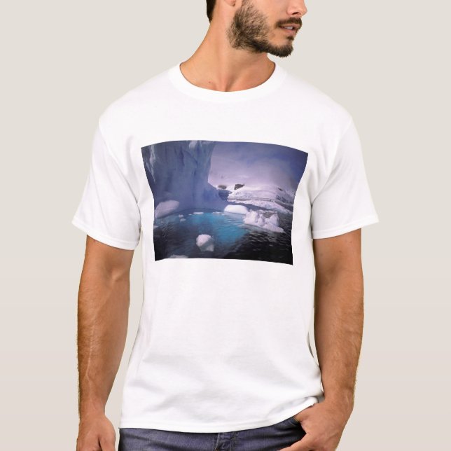 Antarctica. Antarctic icescapes 2 T-Shirt (Front)