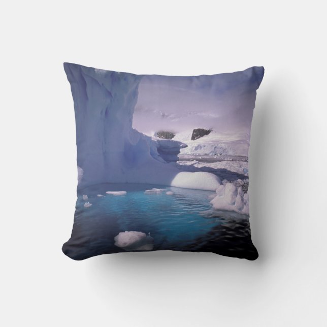 Antarctica. Antarctic icescapes 2 Throw Pillow (Front)
