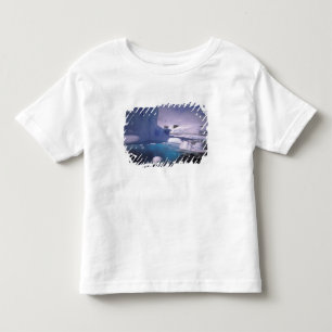 Antarctica. Antarctic icescapes 2 Toddler T-shirt