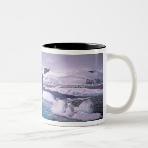 Antarctica Antarctic icescapes 2 Two_Tone Coffee Mug